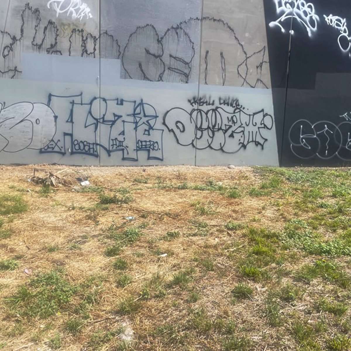 G3